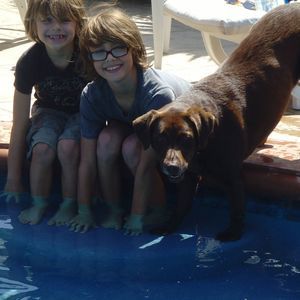 Meet your Posher, Alan